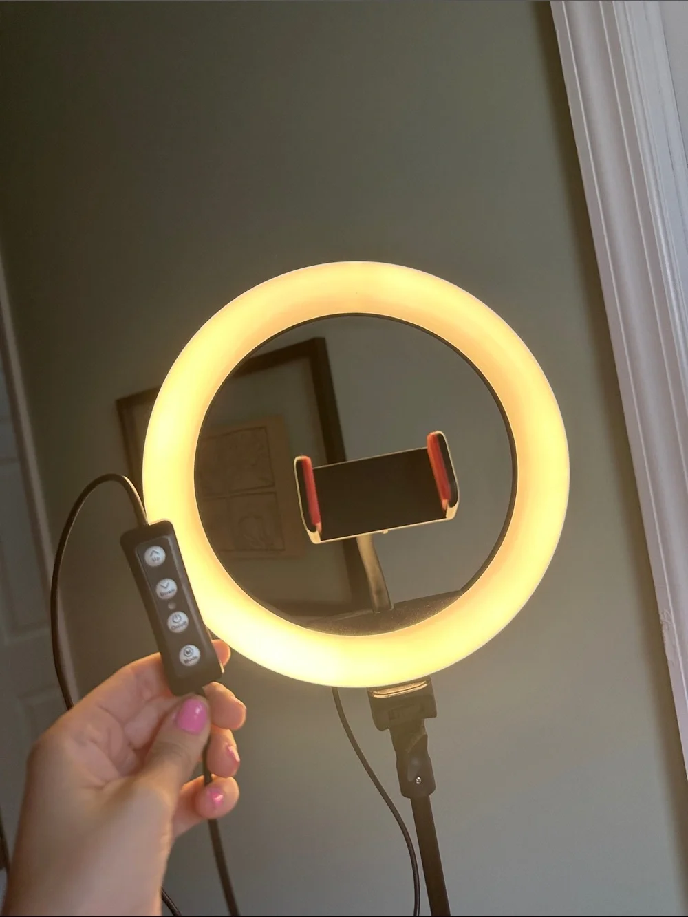 10” LED Ring Light with Phone Mount on Adjustable Tripod - White & Black